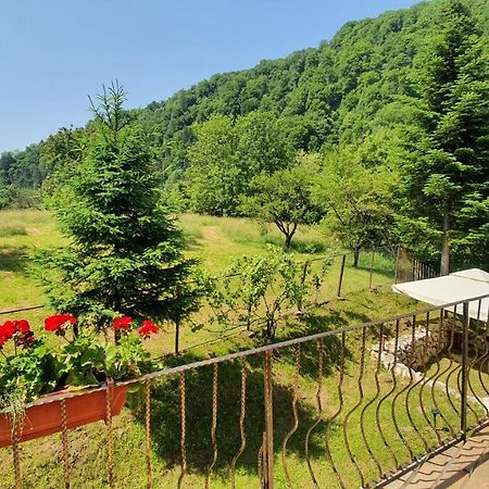 Bran 99 Bran (Brasov) Exterior foto