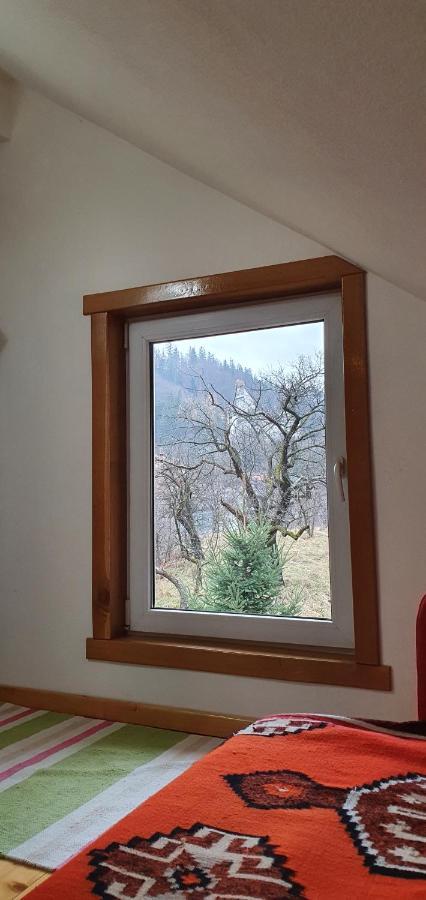 Bran 99 Bran (Brasov) Exterior foto