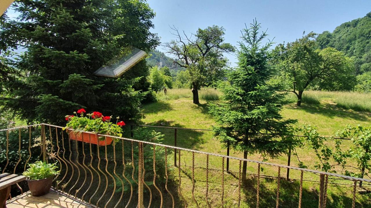 Bran 99 Bran (Brasov) Exterior foto