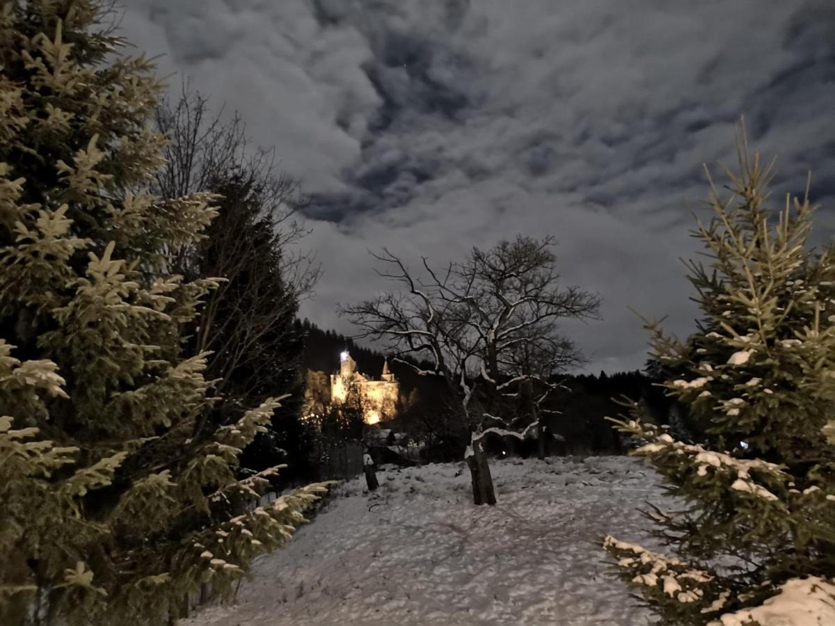 Bran 99 Bran (Brasov) Exterior foto